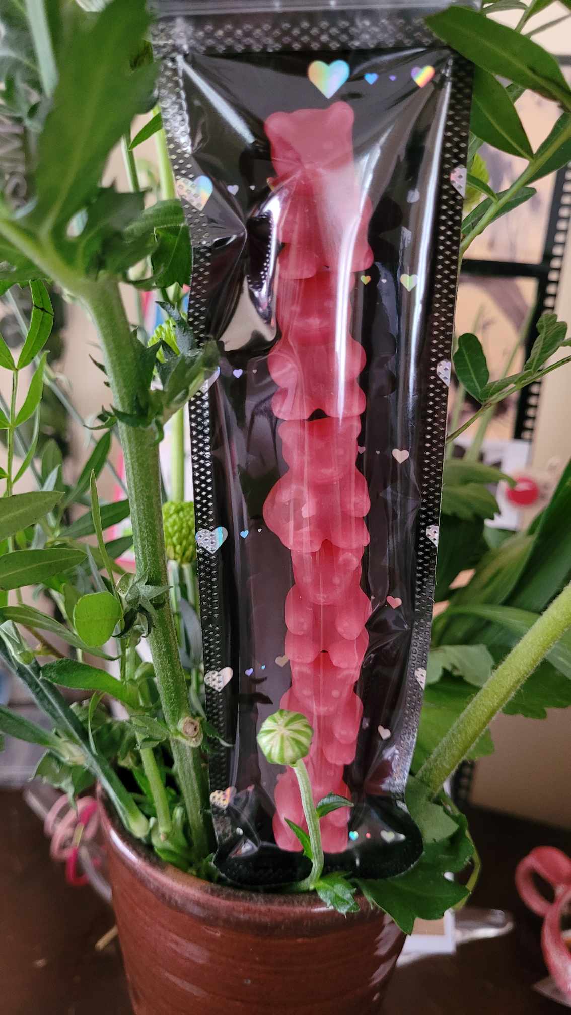 Réglette x 6 Oursons Infusions