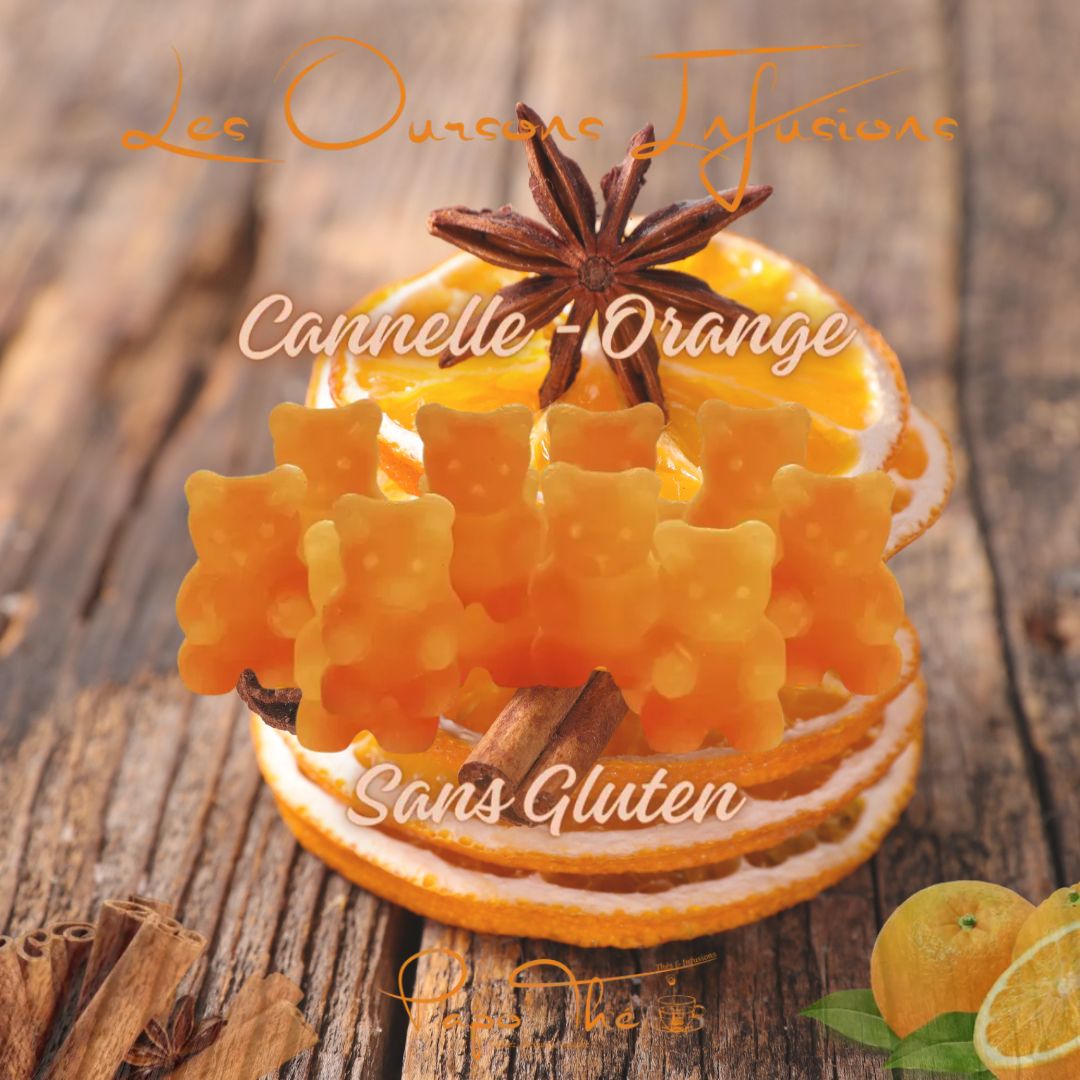 Ourson Infusion - Lot de 10