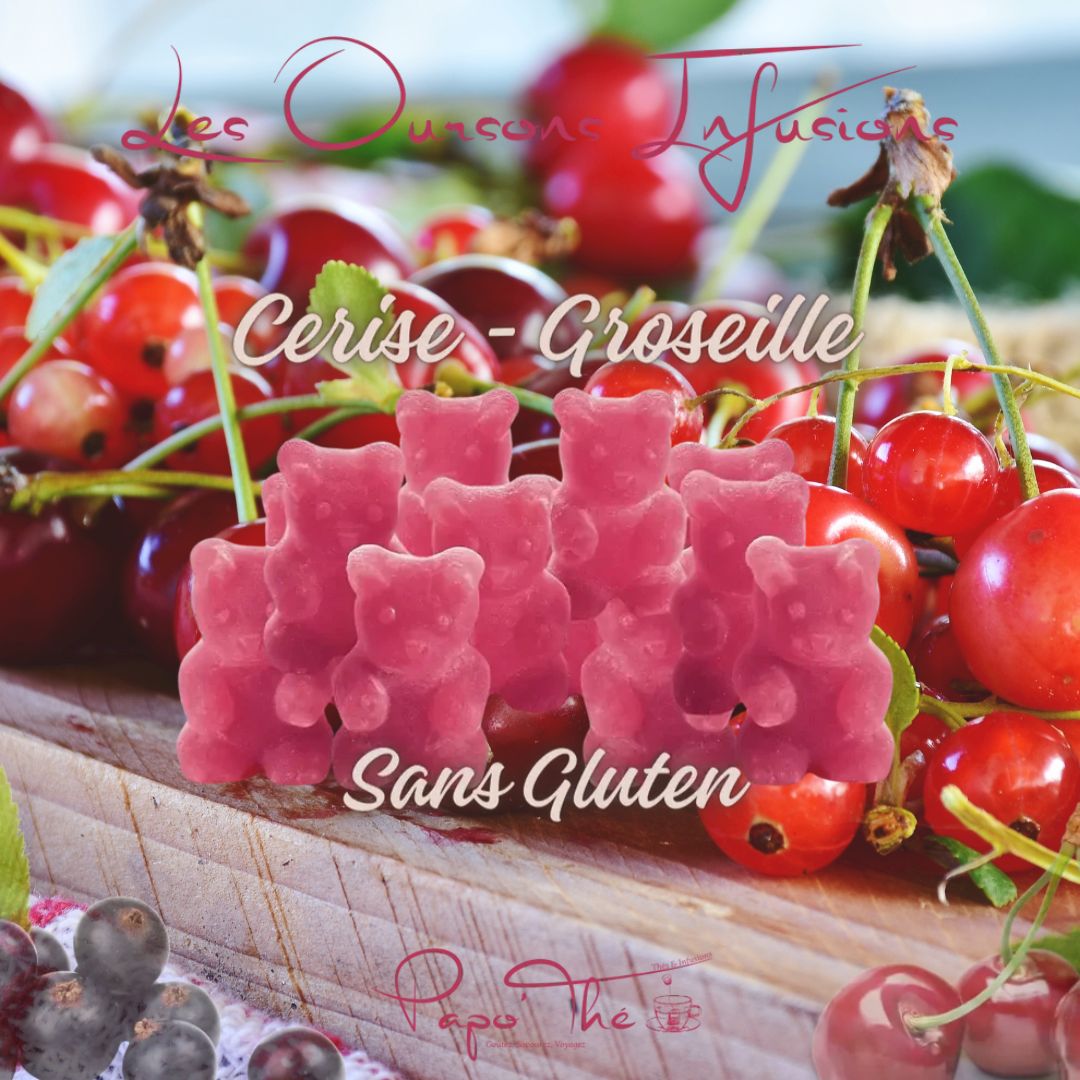 Ourson Infusion - Lot de 10