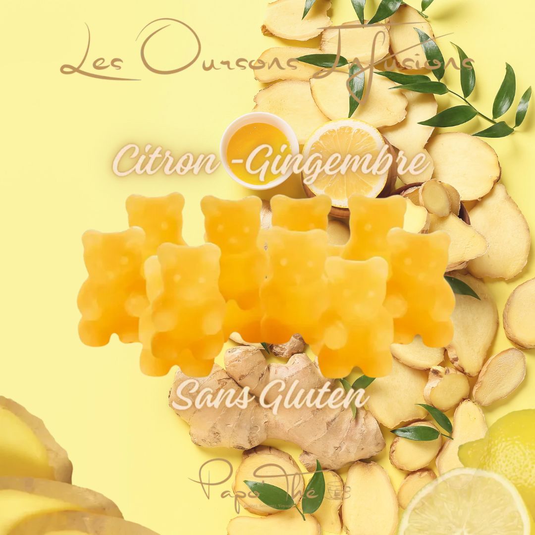 Ourson Infusion - Lot de 10