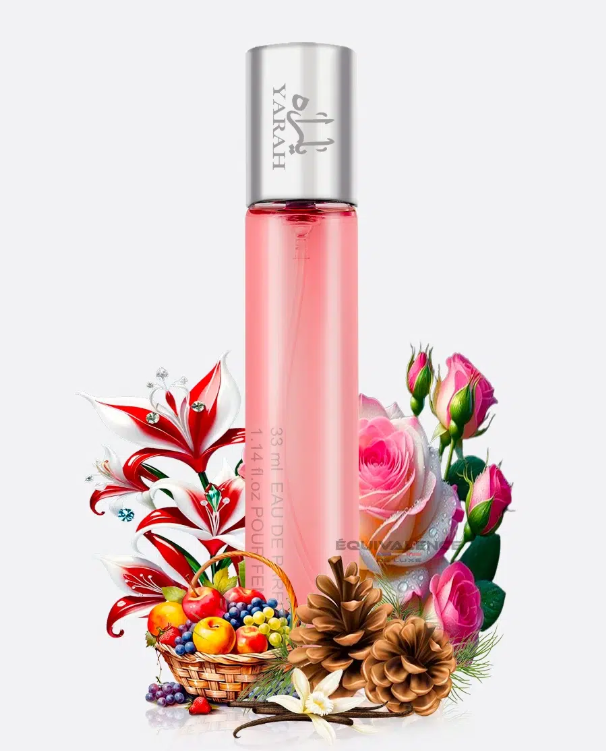 DUPE PARFUMS FEMMES 33 ml
