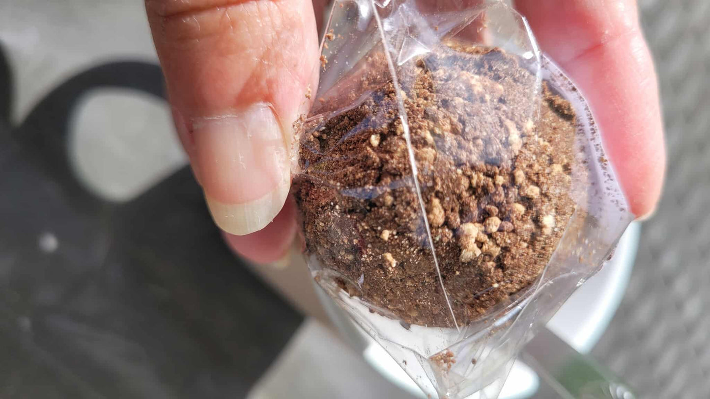 Boule Compacte pour Chocolat Chaud