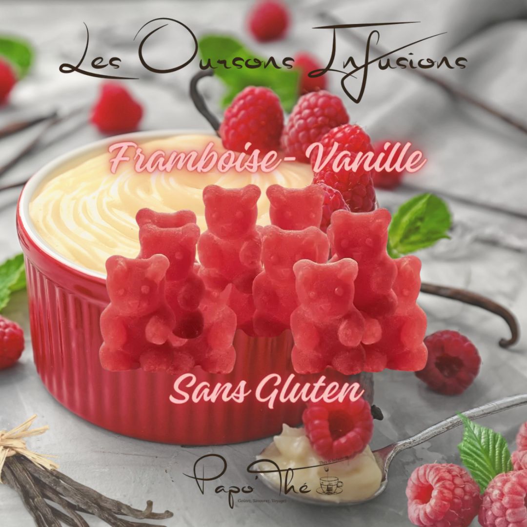 Ourson Infusion - Lot de 10