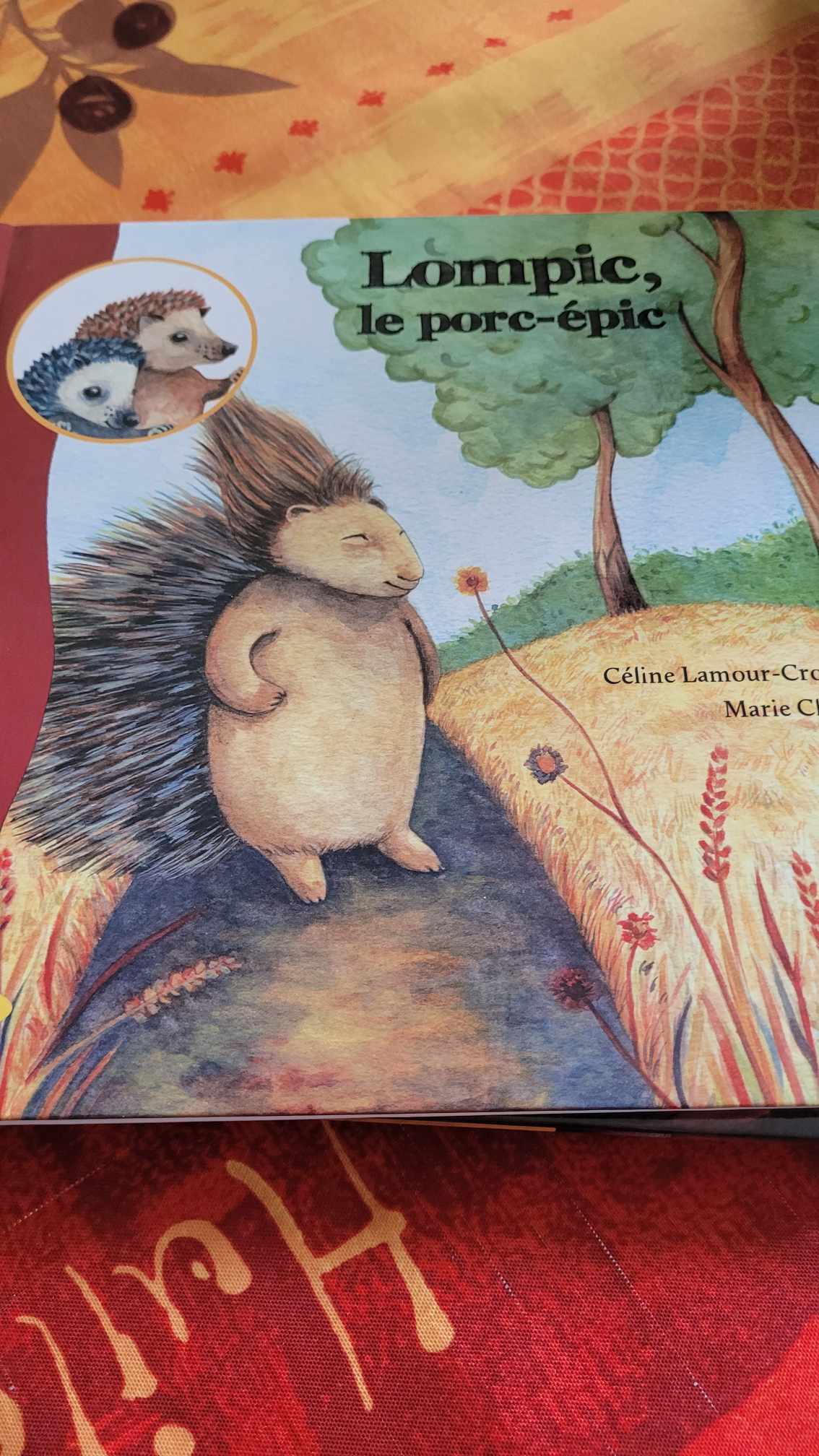 Livres Pour Enfants !! A partir de 3 ans