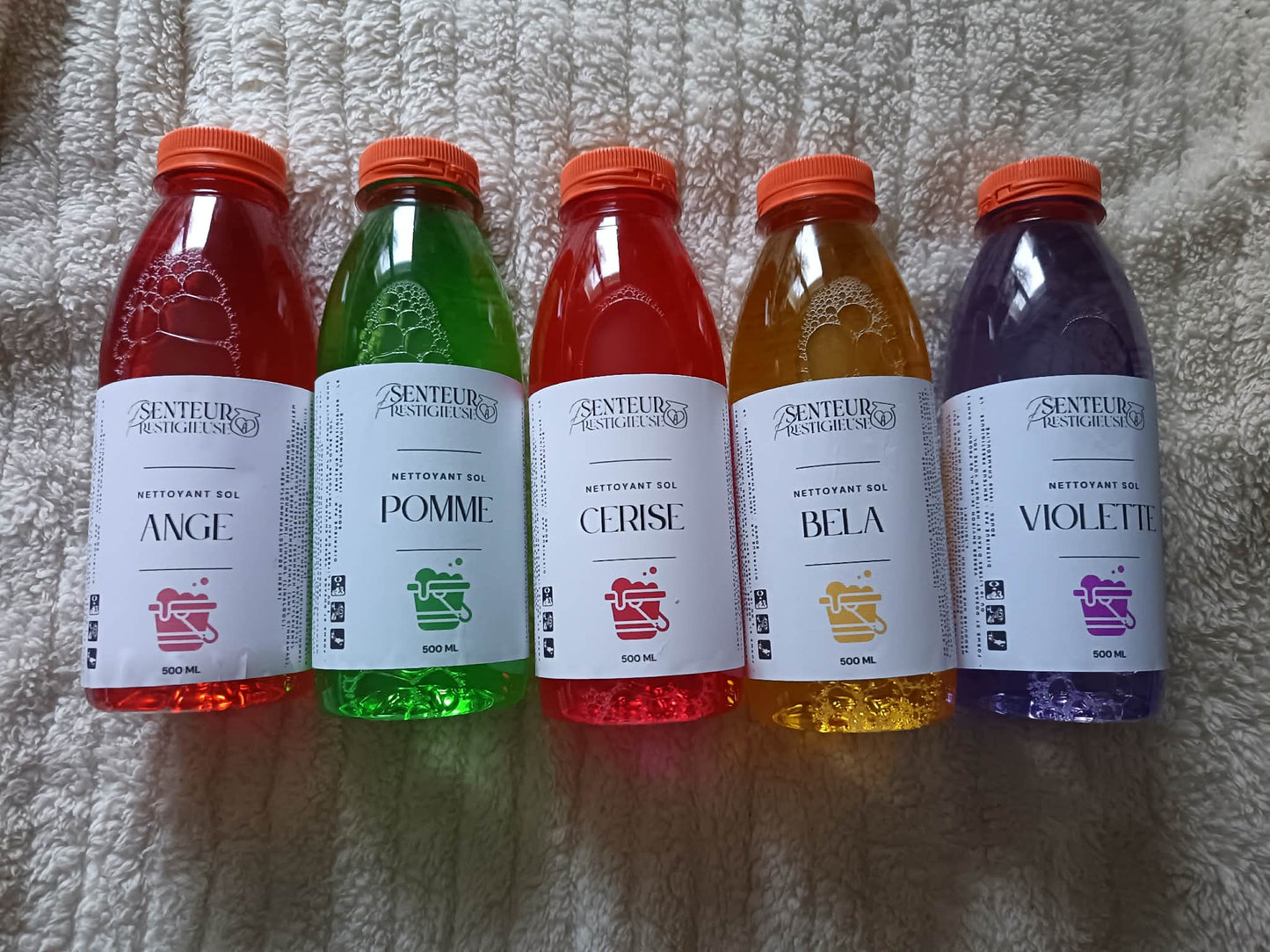 NETTOYANT POUR LE SOL