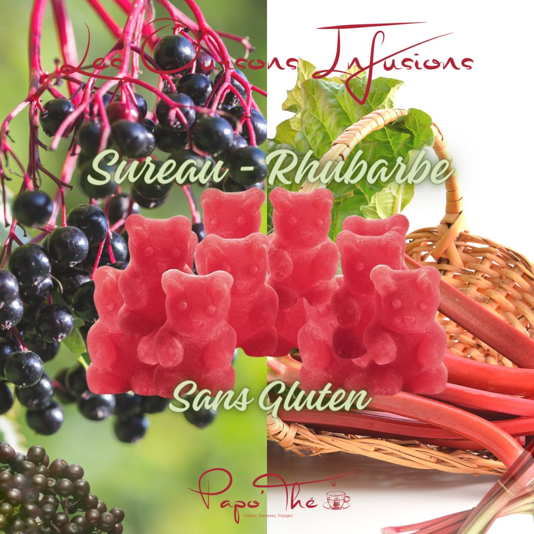 Ourson Infusion - Lot de 10
