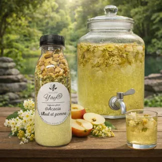KIT A INFUSIONS GLACEES