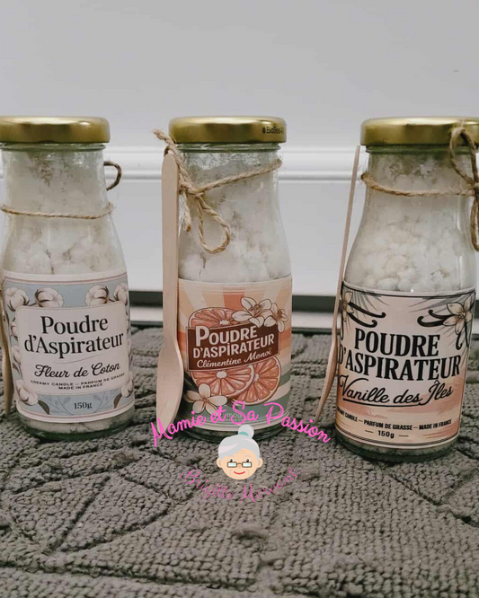 Poudre d'Aspirateur