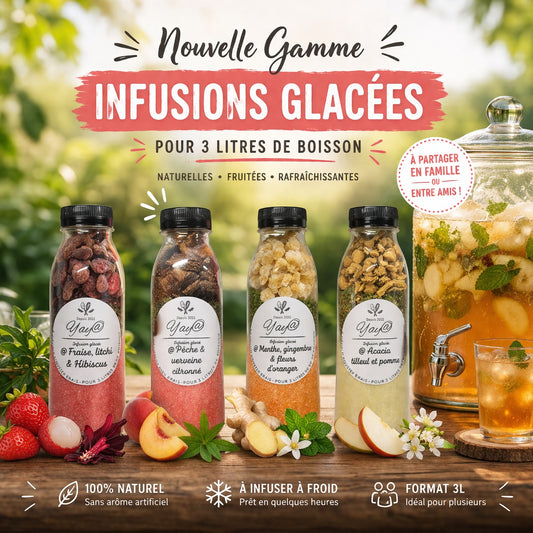 KIT A INFUSIONS GLACEES