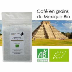 LES CAFES EN GRAINS BIO - 250 gr
