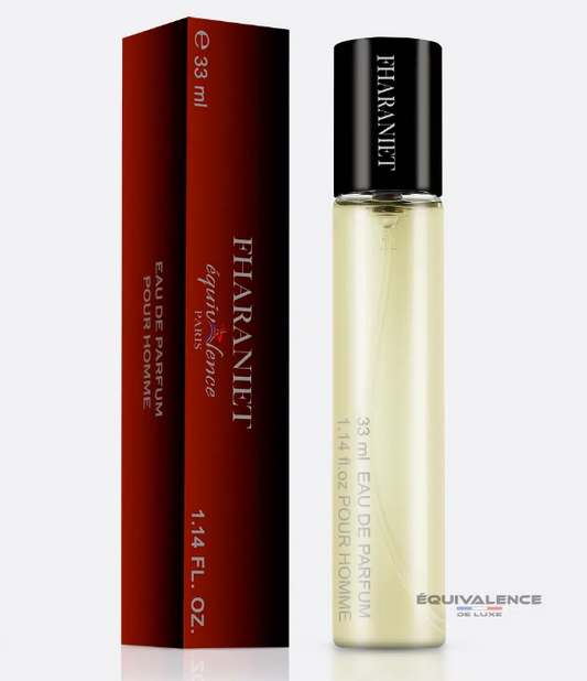 DUPES PARFUMS HOMMES  33 ml