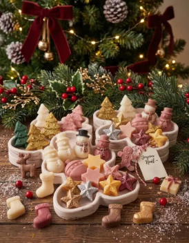 FONDANTS DE NOEL