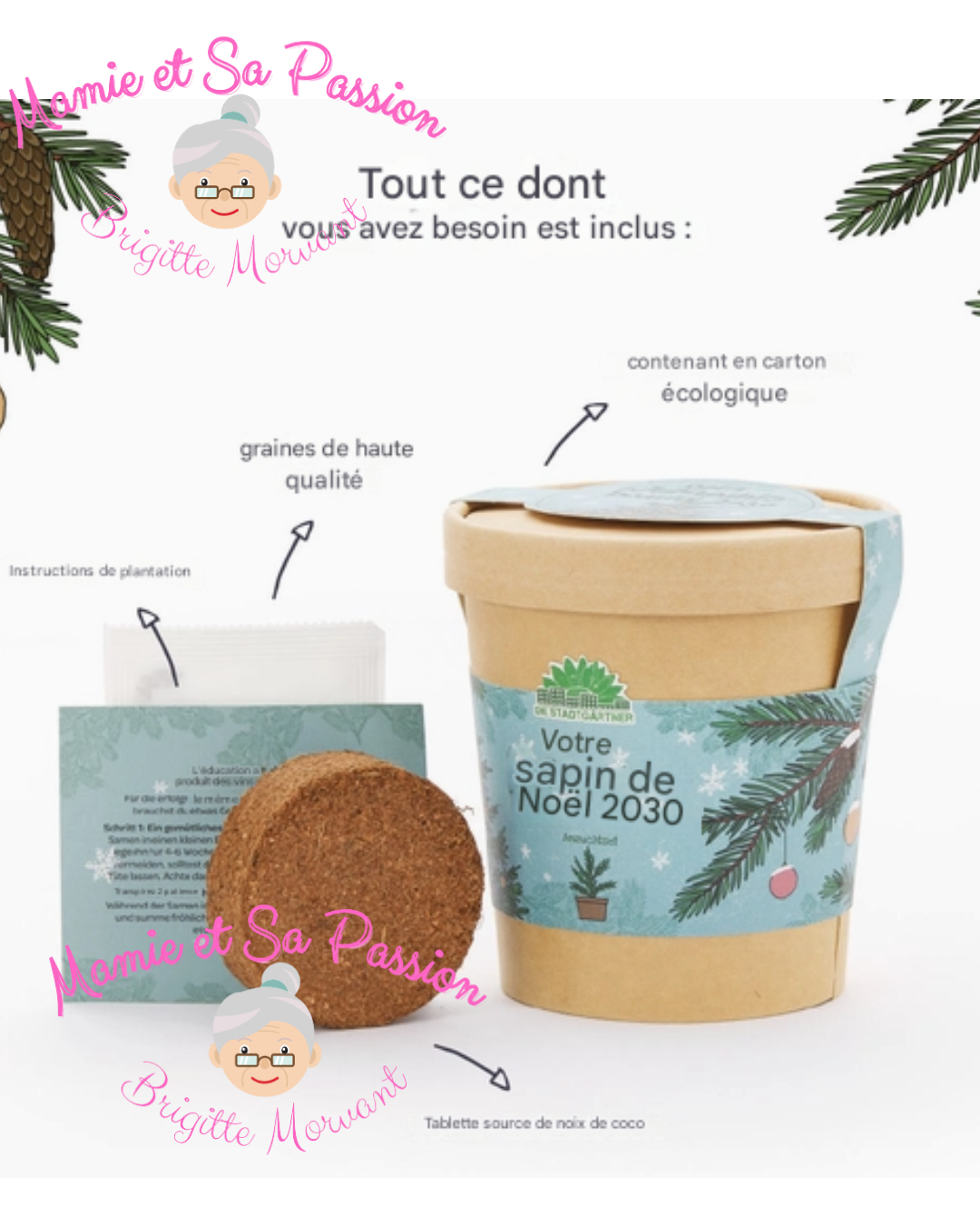 Sapin de Noël (2030)