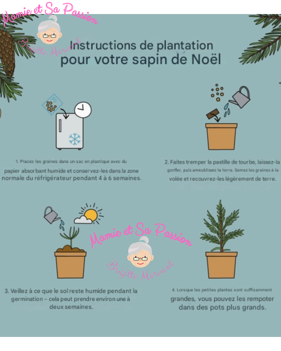 Sapin de Noël (2030)
