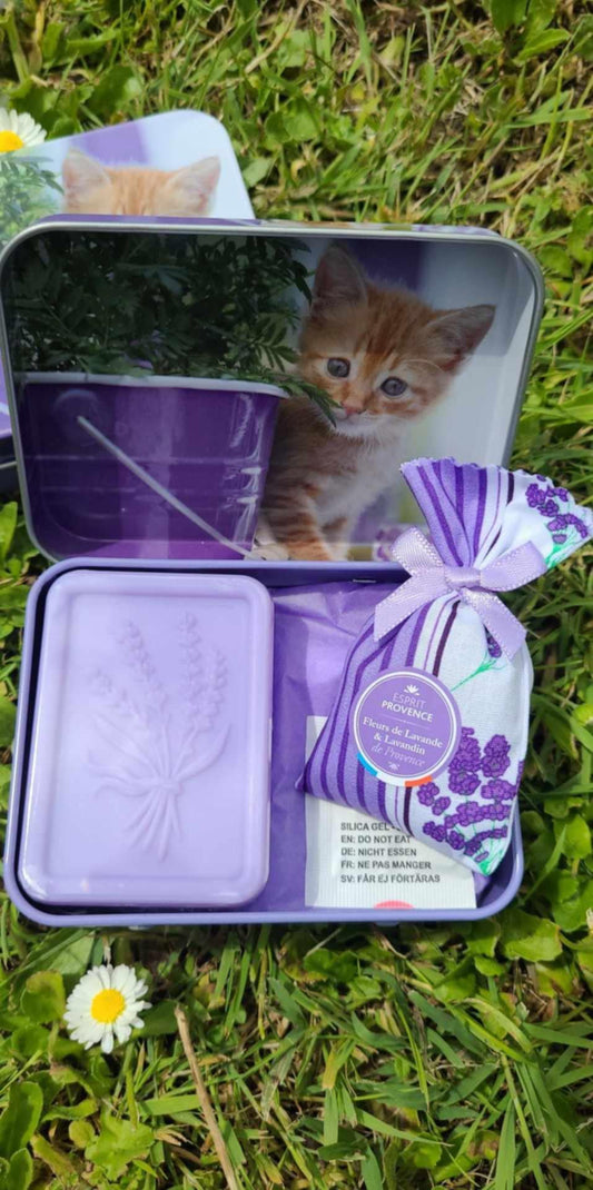 Boite Savon Lavande & Sachet Lavandin