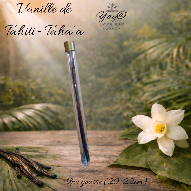 VANILLE DE TAHITI - ILE DE TAHA'A