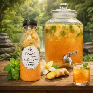 KIT A INFUSIONS GLACEES