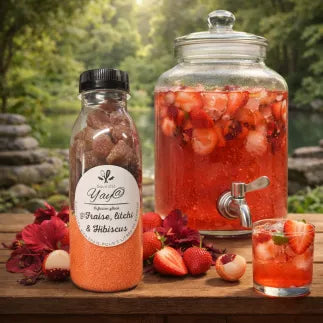 KIT A INFUSIONS GLACEES