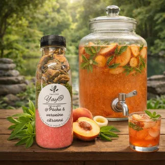 KIT A INFUSIONS GLACEES